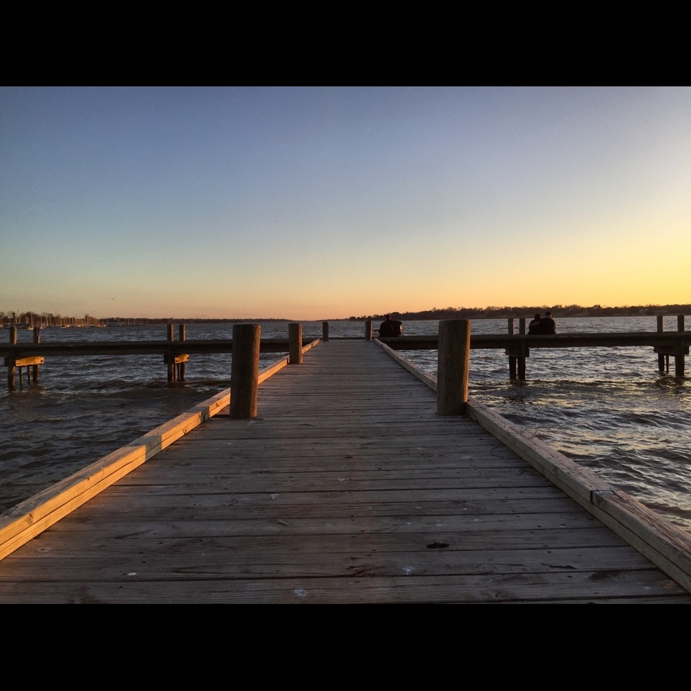 Meet your Posher, Ellen